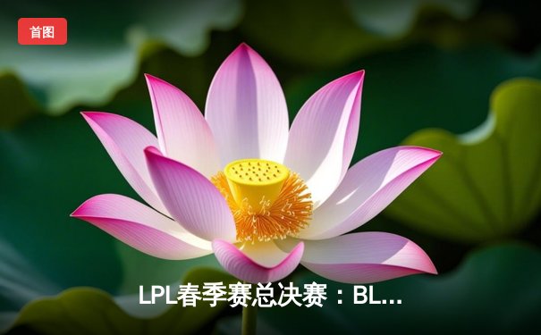 LPL春季赛总决赛：BLG 3:1力克TES，首夺联赛冠军