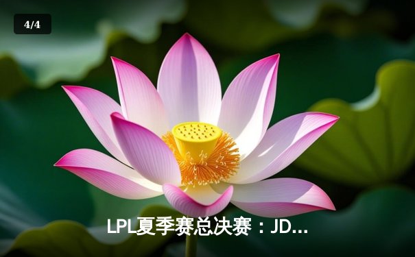 LPL夏季赛总决赛：JDG横扫BLG夺得冠军，Knight斩获FMVP - 4